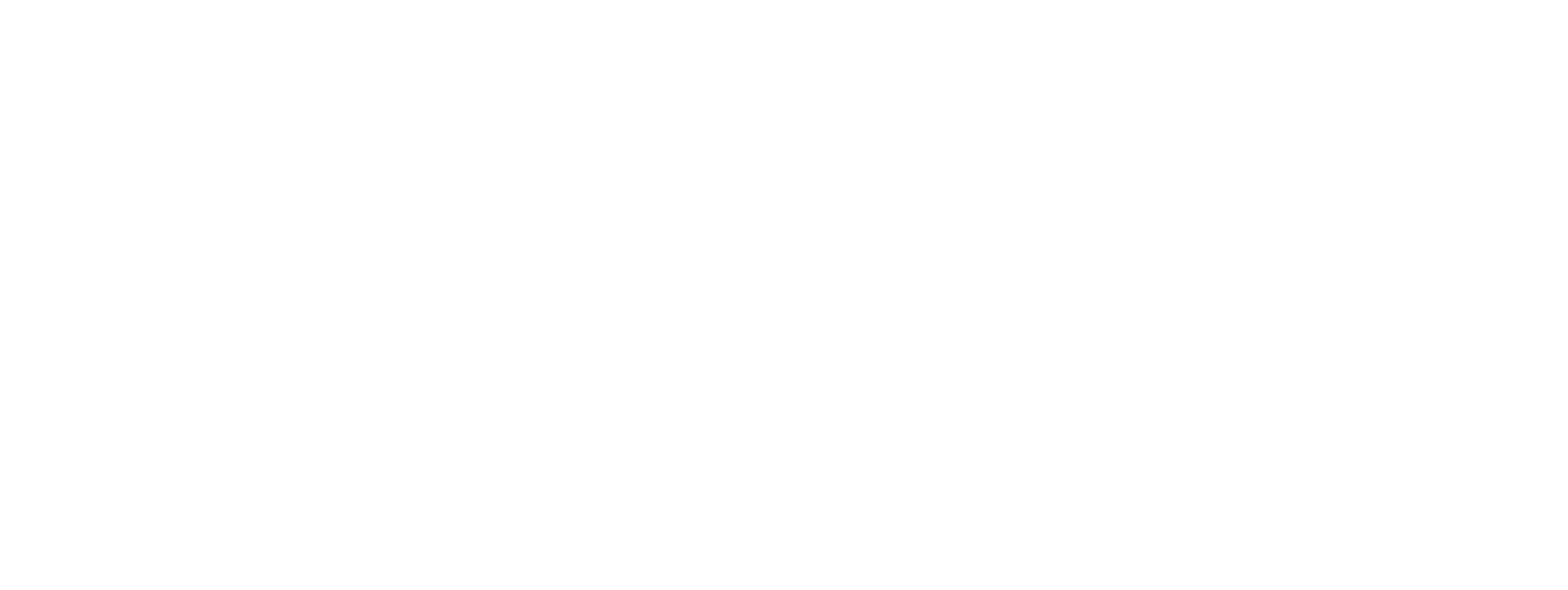 Logo ANNECY ROLLER - STAGES OLIVIER LAMAILLE